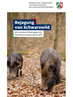 Vorschaubild ASP.jpg