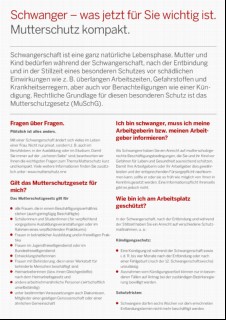 Vorschaubild 2: Schwanger- was jetzt für Sie wichtig ist. - deutsch -