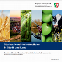 Vorschaubild Broschüre MLV.png
