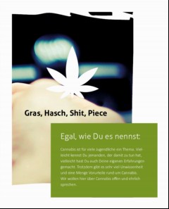 Vorschaubild 3: Cannabis - alle wichtigen Infos auf einen Blick