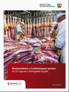Vorschaubild 1: Arbeitsschutz in der Fleischverarbeitung.